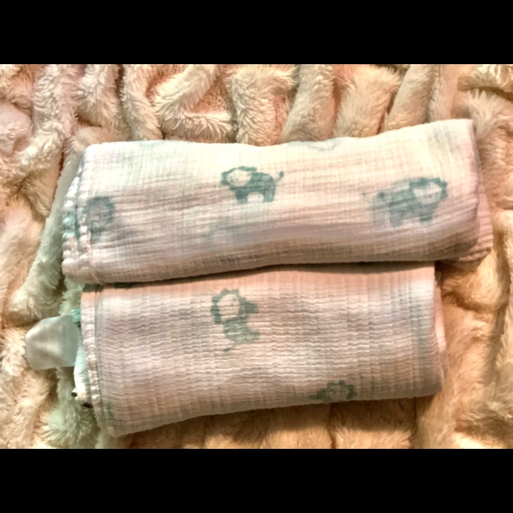 Aden and Anais Swaddle Blanket